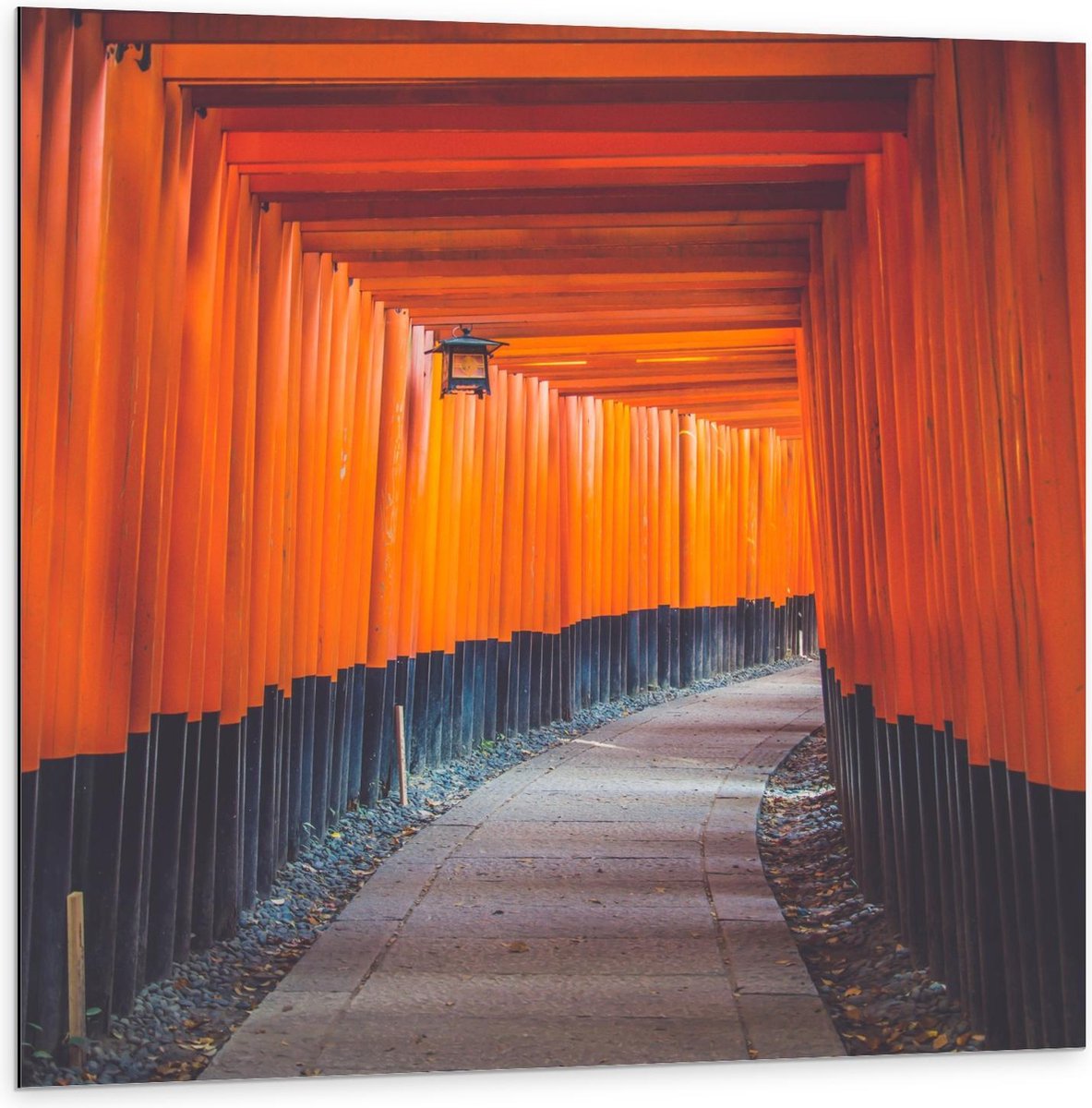 Dibond - Gang van Oranje Palen - 100x100cm Foto op Aluminium (Wanddecoratie van metaal)