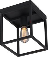 Esteso Plafondlamp stalen frame 1 lichts zwart - Industrieel - Freelight - 2 jaar garantie