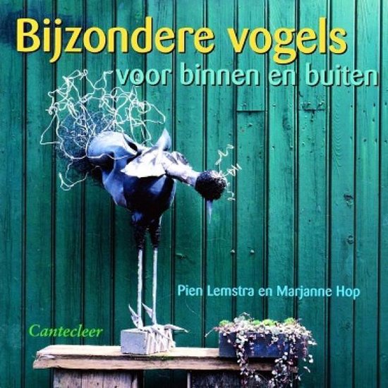 Cover van het boek 'Bijzondere vogels voor binnen en buiten'