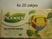 Pickwick thee - Herbal Spijsvertering - multipak 6x 20 zakjes