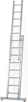 Castrex Easypro Opsteekladder 2x12 sporten