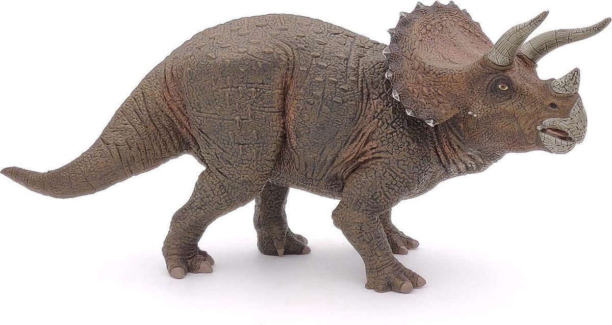 Triceratops Dinosaurus Bol