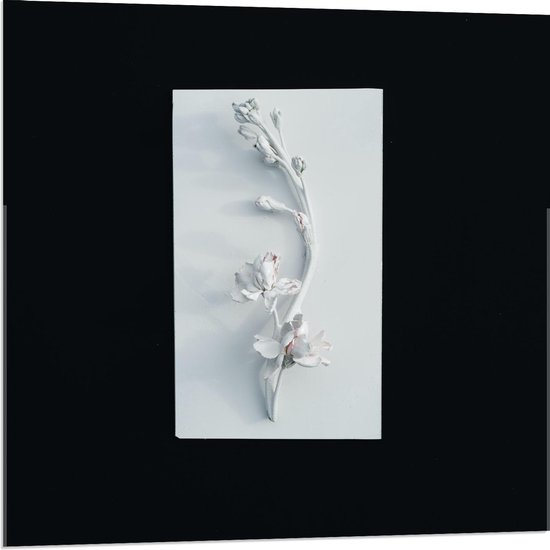 Acrylglas - Tegeltje met Bloemen op Zwarte Achtergrond  - 80x80cm Foto op Acrylglas (Met Ophangsysteem)