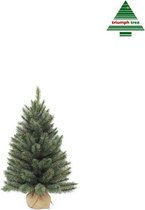 Triumph Tree - Forest frosted pine christmas tree burlap/potted frosted, newgrowth blue  -  h60xd46cm