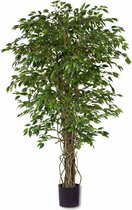 Kunstplant Ficus Liana 180 cm