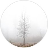 Behangcirkel Foggy Tree zelfklevend 120cm doorsnede | wandcirkel | muurcirkel | wooncirkel