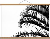 Schoolplaat – Palmtakken (wit/zwart) - 90x60cm Foto op Textielposter (Wanddecoratie op Schoolplaat)