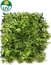 Emerald - Kunst Plantenwand Schefflera 50x50cm - Kunstplanten voor binnen