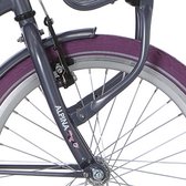 Alpina voorvork 24 Clubb purple grey