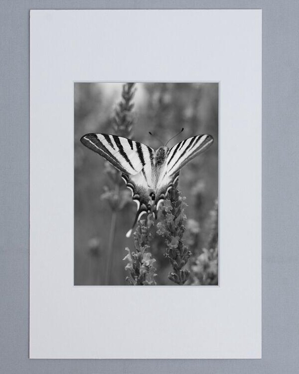 Passe Partout 28x35 Wit - Fotomaat 18x24 cm