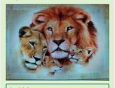 Diamond Painting fam. Leeuw 30x40 Vierkante steentjes