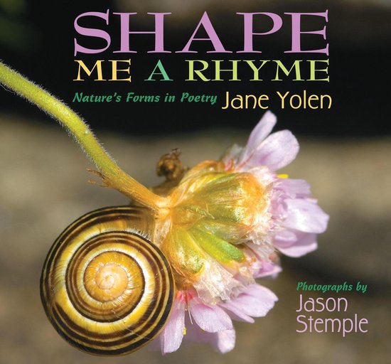Shape Me a Rhyme - cover