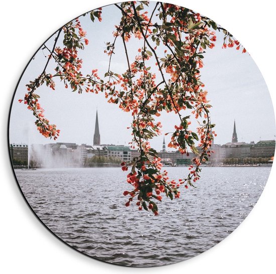 Dibond Wandcirkel - Boom bij het Water met Roze Bloemetjes - 40x40cm Foto op Aluminium Wandcirkel (met ophangsysteem)