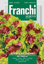 Franchi -  Salade mix, Bis di De Lattughe  da Taglio 93/8