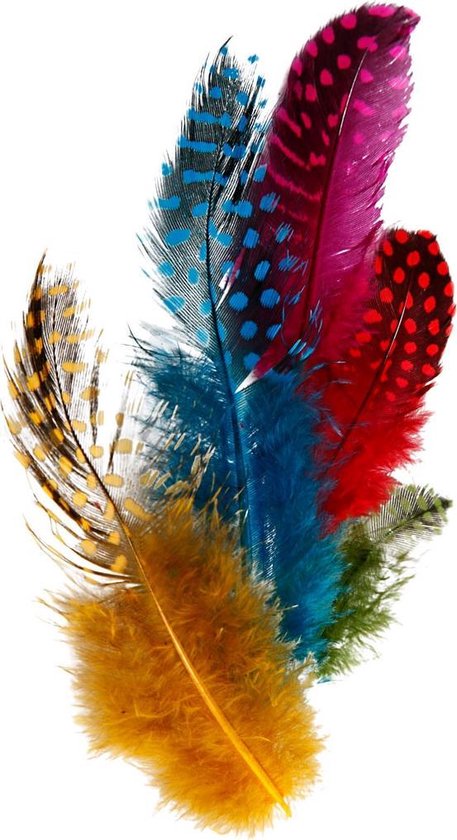Plumes de pintade, env.100 pièces, couleurs variées, 3gr