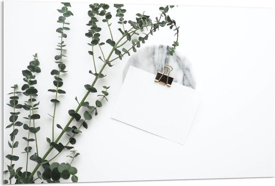 Acrylglas - Witte Enveloppe met Groene Plant - 120x80cm Foto op Acrylglas (Met Ophangsysteem)
