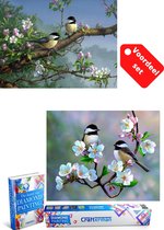 Crafterman™ Diamond Painting Volwassenen VOORDEEL SET VAN 2 STUKS - Vogels met bloemen & vogels op een tak 30x40cm - volledige bedekking - vierkante steentjes - hobby pakket