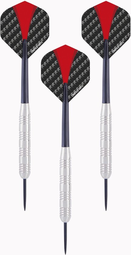 Afbeelding van het spel 2x Set van 3 dartpijlen Longfield darts nickel silver 21 grams - Darten/darts sport artikelen pijltjes nickel silver - Kinderen/volwassenen