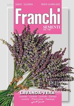 Franchi -  Lavendel, Lavanda Vera 87/1