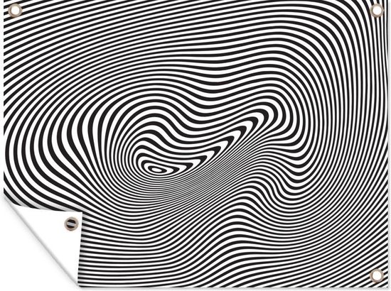 Optische Illustratie Van De Vector Van De Optische Illusie Van De Vector Illusie Zwarte En Witte Kubus Lichtingsvector Voor 167364223