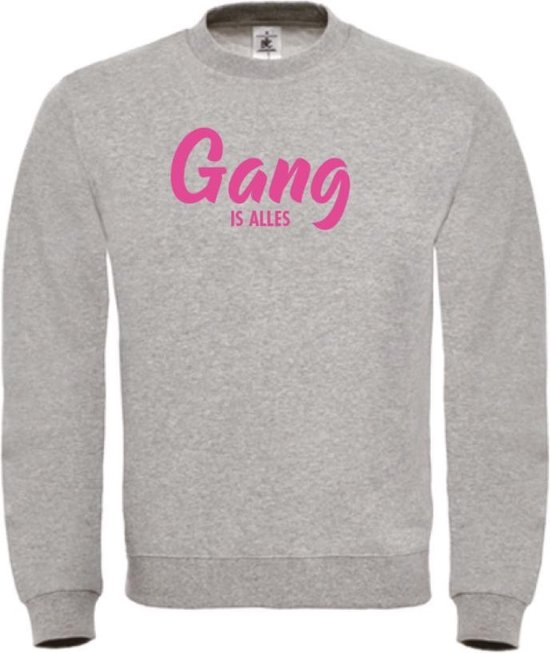 Wintersport sweater grijs M - Gang is alles - fluor roze - soBAD. | Foute apres ski outfit | kleding | verkleedkleren | wintersporttruien | wintersport dames en heren