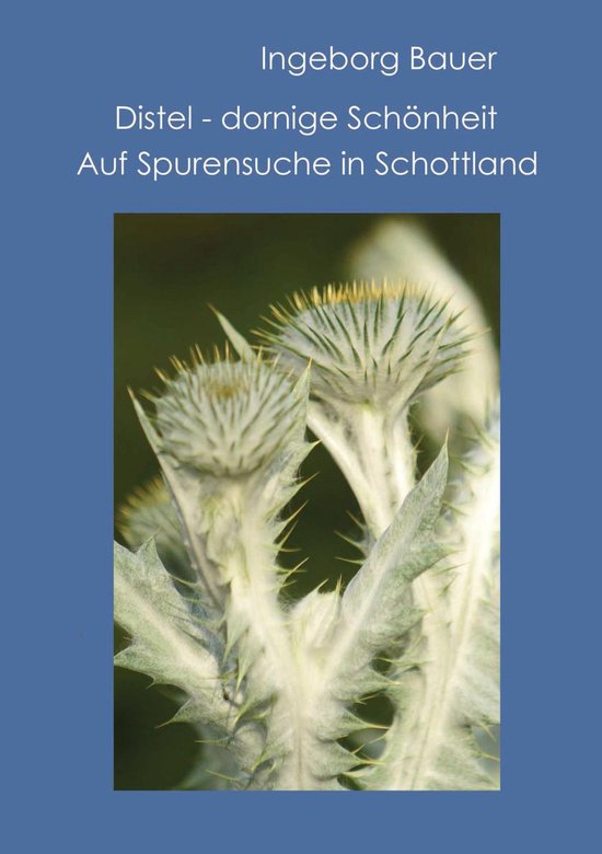 Distel - dornige Schönheit - cover