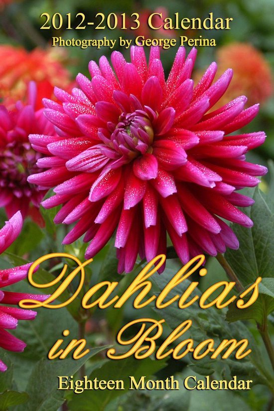 Dahlias In Bloom - cover