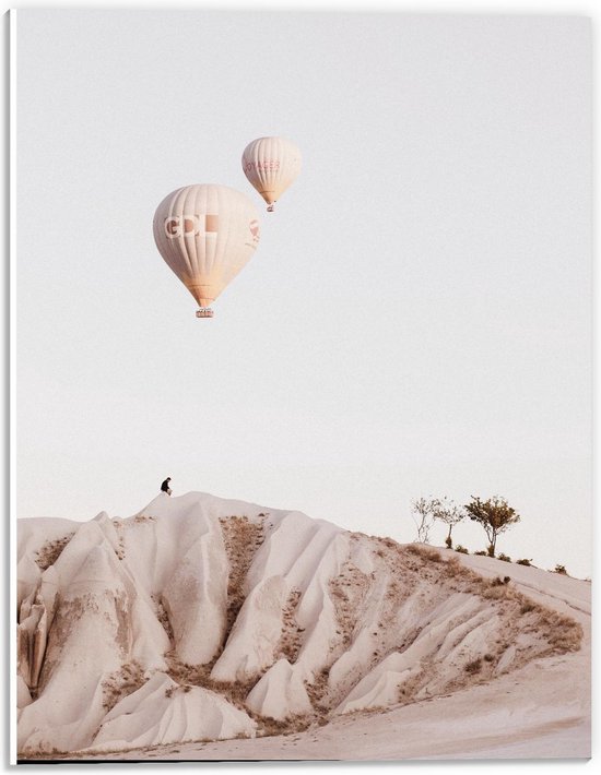 Forex - Twee Luchtballonnen boven de Woestijn - 30x40cm Foto op Forex