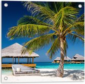 Tuinposter – Tropische Palmboom op het Strand - 50x50cm Foto op Tuinposter  (wanddecoratie voor buiten en binnen)
