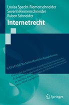Springer-Lehrbuch - Internetrecht