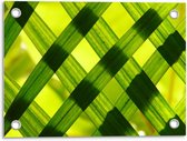 Tuinposter – Geweven Bladeren - 40x30cm Foto op Tuinposter  (wanddecoratie voor buiten en binnen)