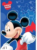 Mickey Mouse fleece plaid