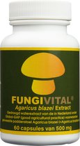 Immuun Support | Biologisch Supplement voor Weerstand en Welzijn | Agaricus Blazei | Antioxidant, Ontstekingsremmend, Bloeddrukverlagend | 60 capsules | FungiVital