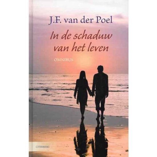 Cover van het boek 'In de schaduw van het leven' van J F. van der Poel