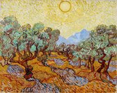 Vincent van Gogh, Olijfbomen met gele lucht en zon, 1888 op aluminium, 60 X 90 CM