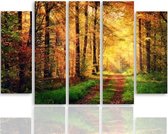 Schilderij , Zonnestralen in het bos , Multikleur ,4 maten , 5 luik , wanddecoratie , Premium print , XXL