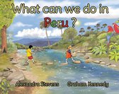 What Can We Do in Peru?
