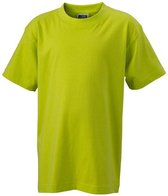 James and Nicholson Kinderen/Kinderen Basic Tee (Zuurgeel)