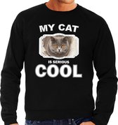 Britse korthaar katten trui / sweater my cat is serious cool zwart - heren - katten / poezen liefhebber cadeau sweaters L