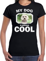 Maltezer honden t-shirt my dog is serious cool zwart - dames - Maltezers liefhebber cadeau shirt 2XL
