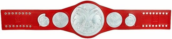 Ceinture de championnat WWE Raw Tag Team - Ceinture de lutte - Replica -  2MM | bol.com