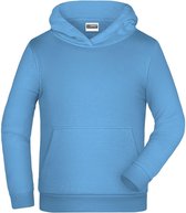 James And Nicholson Kinderen/Kinderen Basic Hoodie (Hemelsblauw)