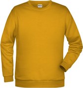 James And Nicholson Heren Basis Sweatshirt (Goudgeel)