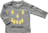 Imps en Elfs unisex shirt melé grey maat 68