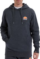 Ellesse Trui - Mannen - antraciet