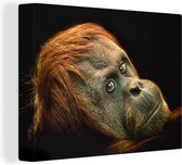 Un orang-outan sur une toile de fond noir 80x60 cm - Tirage photo sur toile (Décoration murale salon / chambre) / Peintures sur toile animaux sauvages