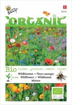 Buzzy Organic Wildbloemen mengsel BIO