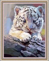 Witte Tijger Welp - Diamond Painting Dieren - 40x30 - Volwassenen - Kinderen - Volledig Pakket
