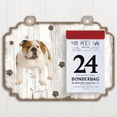 Scheurkalender 2023 Hond: Engelse Buldog