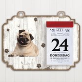 Scheurkalender 2022 Hond: Mopshond
